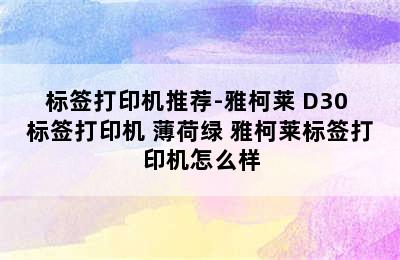 标签打印机推荐-雅柯莱 D30 标签打印机 薄荷绿 雅柯莱标签打印机怎么样